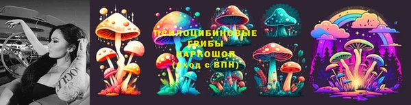 сатива Болохово